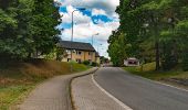 Tour Zu Fuß Senftenberg in Böhmen - Výletní okruh městem - Photo 1