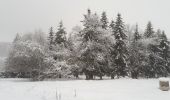 Tocht Sneeuwschoenen La Clusaz - 221210 pointe de beauregard - Photo 2