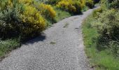 Trail Walking Saint-Fortunat-sur-Eyrieux - 07 st fortunat dubieres st Vincent dufort - Photo 17