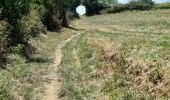 Tour Wandern Chavanay - bessey - Photo 5