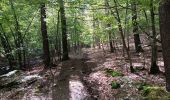 Randonnée Marche Jalhay - dans les,nous d'Herbierster - Jalhay - Photo 6