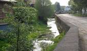 Trail On foot Vaux-sur-Sûre - Promenade des Sources (Promenade of the Springs) - Photo 5