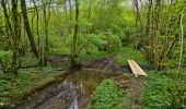 Tour Wandern Philippeville - Balade à Omezée - Photo 2