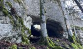 Trail Walking Chaux-des-Crotenay - Autour du plateau de chaux des Crotenay - Photo 2