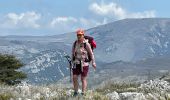 Tour Wandern Cipières - Cipieres : le grand Pounch - Photo 11