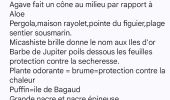Tocht Stappen Rayol-Canadel-sur-Mer - Qui prend racine en bord de mer ? - Photo 3