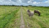 Excursión Senderismo Diksmuide - Blanquaart 19 km - Photo 2