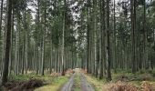 Excursión Senderismo Saint-Hubert - A la découverte de Saint-Hubert 🥾 - Photo 4