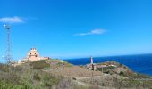 Trail Walking Port-Vendres - les Paulilles - Cap Bear via le sentier du littoral  / retour via collines et vignes  - Photo 9