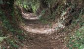 Trail Walking Pont-Aven - Pont Aven - Port Manec'h  - Photo 1