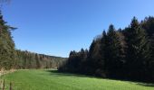 Tour Zu Fuß Blankenheim - Eifelschleife Wo Bäche verschwinden - Photo 9