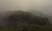 Tour Wandern La Roquebrussanne - 10844300-chapelle st andre ,grotte 400 moutons source oris - Photo 10