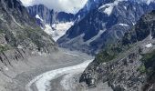 Trail Walking Chamonix-Mont-Blanc - CHAMONIX ... du Plan de l'Aiguille au Montenvers.  - Photo 6