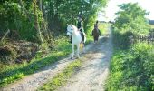 Percorso A piedi Somerset West and Taunton - Herepath Trail - Castle Neroche - Photo 10