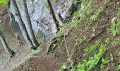 Tour Wandern La Chapelle-du-Mont-du-Chat - 270523 Tour et Dent du Chat - Photo 4