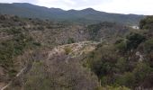 Randonnée Marche Bagnols-en-Forêt - FREJUS - BARRAGE DE MALPASSET DEPUIS COL DE LA GARDIETTE - Photo 5