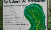 Percorso Marcia La Roche-en-Ardenne - Berismenil du mardi - Photo 2