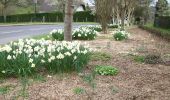 Excursión Senderismo Roncherolles-sur-le-Vivier - 20230328-Roncherolles - Photo 10