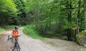 Tocht Mountainbike Seyssins - Les Hauts du Peuil en VTTAE  - Photo 2