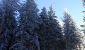 Excursión Raquetas de nieve Valmeinier - Valmeinier-2022-12-19 - Photo 4