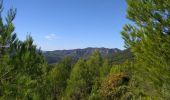 Tour Wandern Garéoult - Bois de Garéoult - Photo 1