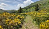 Trail Walking Dienne - Laqueuille seycheuse vassiviere Peyre-Gary  - Photo 8