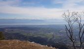 Randonnée Marche Gex - Le Belvédère du Turet - Photo 2