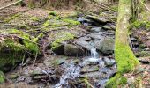 Tour Wandern Hohenfels - Cetturu 060224 - Photo 20