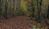 Excursión Bici eléctrica Saint-Clément - sortie vtt 12112023 gerbeviller vitrimont  - Photo 2