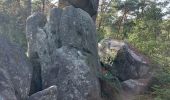 Trail Walking Fontainebleau - Fontainebleau Sentier Denecourt N°10 - Photo 12