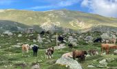 Tour Wandern Ghisoni - Refuge de Capannelle-refuge du col de Verde - Photo 1