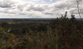 Percorso Marcia Locarn - Circuit landes de Locarn Corong - Photo 10