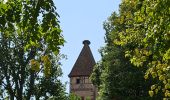 Trail Walking Kaysersberg-Vignoble - Du ⛺️ aux 4 villages - Photo 10