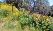 Trail Walking Cuers - 2021-04-10_15h53m44_apie de sambalettes a partir de st christine - Photo 5