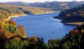 Tour Zu Fuß Reichshof - Heischeid Rundweg A1 - Photo 1