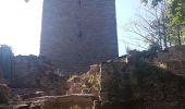 Tour Wandern Zabern - Les 4 châteaux de Saverne - Photo 20
