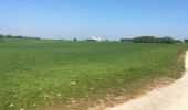 Trail Walking Rivedoux-Plage - Rivedoux plage - Photo 2