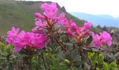 Excursión A pie Săcele - Cabana Piatra Mare - Vf. lui Andir - Cabana Rențea - Photo 10