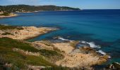 Randonnée Marche Ramatuelle - Bonne Terrasse - Cap Camarat - Plage de l'Escalet - Pointe de la Douane - Cap Lardier - Pointe de Brouis - Plage de Gigaro - Photo 8