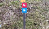 Trail Walking Les Avanchers-Valmorel - Valmorel par l'Ormay - Photo 3