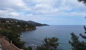 Trail Road bike Le Lavandou - bormes col canadel bormes - Photo 13
