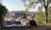 Trail Walking La Louvière - Saint-Vaast / Terrils / 2020-11-03 / 15 km - Photo 7