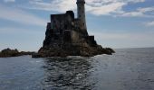 Randonnée Bateau à moteur West Cork - 190702Fastnet - Photo 7