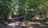 Randonnée Marche Liège - tour des terrils liégeois - Photo 10