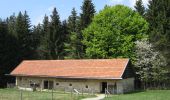 Tour Zu Fuß Mauth - Waldschaf · Šumavská ovce - Photo 8