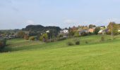 Tour Wandern Winseler - 20211017 - Doncols 8.4 Km - Photo 9