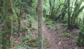 Tour Wandern Villers-le-Lac - Le Pisoux - Photo 10
