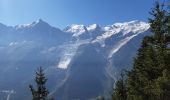 Randonnée Marche Les Houches - Le Merlet,Bellachat,aigulkette des Houches retour par chalets Chailloux - Photo 14