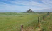 Tocht Stappen Le Mont-Saint-Michel - Le Mont St Michel,  Herbus, Sables, et Barrage de La Caserne. - Photo 16