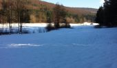 Percorso A piedi Bischbrunn - Schwarzer Fuchs, Rundwanderweg Weihersgrund am Sylvan - Photo 5